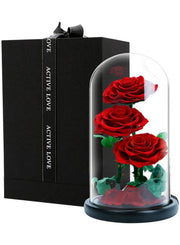 3 Red Roses in Glass Dome Real Eternal Rose Preserved Flower with Luxury Gift Box