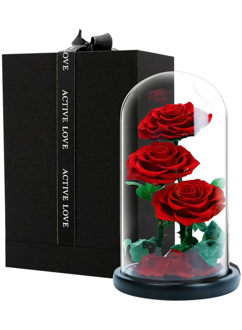 3 Red Roses in Glass Dome Real Eternal Rose Preserved Flower with Luxury Gift Box