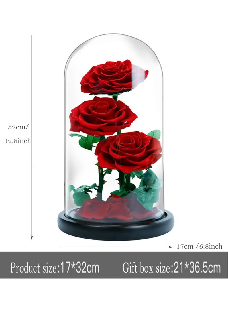 3 Red Roses in Glass Dome Real Eternal Rose Preserved Flower with Luxury Gift Box